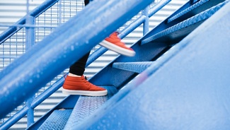 brainy nl 10 stappen